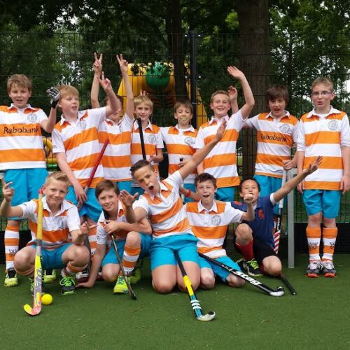 Mini hockeydoelen 40 Mini hockeydoeltjes, ideaal voor training en recreatie. Voor iedereen die hockeydoeltjes kopen wil met de beste prijs-kwaliteitverhouding, bieden wij compleet uitgeruste mini-hockeydoelen met slagplanken, net en nethake